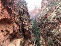 Zion, UT 2021