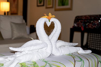 The Westin  @ Turtle Bay Mauritius-4475.jpg
